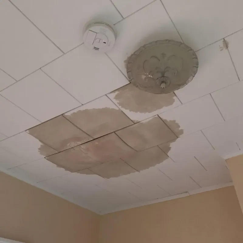 Ceiling Water Damage Repair in Larch Way, WA