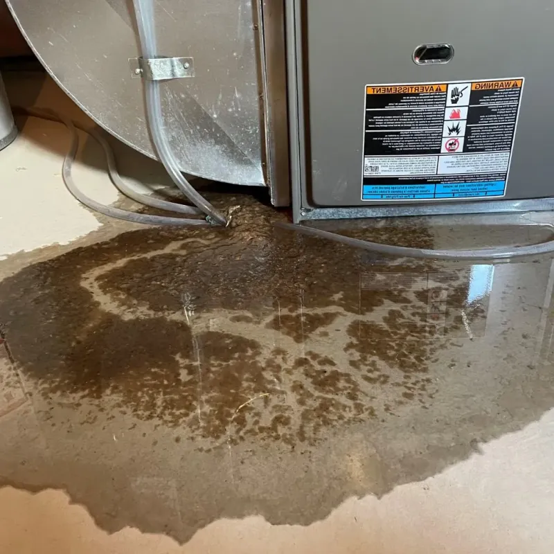 Pipe Burst and Leak Restoration in Larch Way, WA