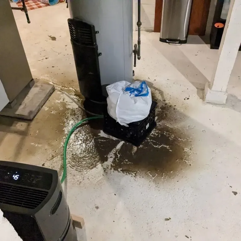 Sewage Backup Cleanup Service in Larch Way, WA